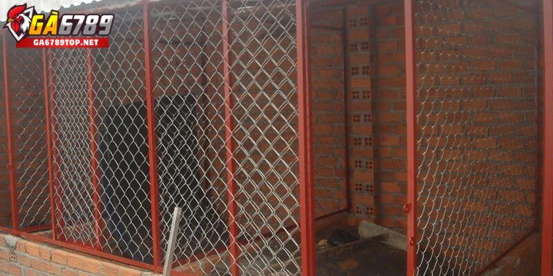 Cách Làm Chuồng Gà Bằng Sắt Bền Chắc, Dễ Lắp Ráp