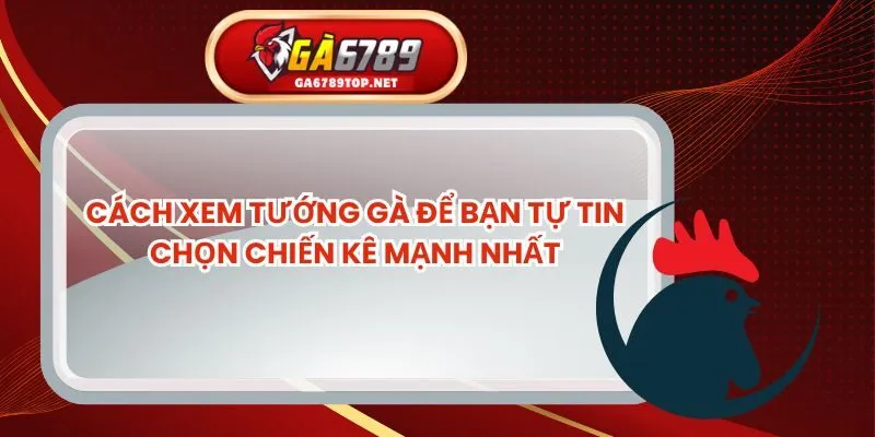 Cách Xem Tướng Gà Để Bạn Tự Tin Chọn Chiến Kê Mạnh Nhất