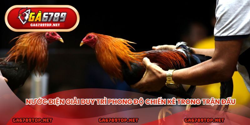 Nước điện giải duy trì phong độ chiến kê trong trận đấu