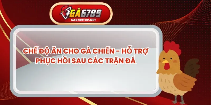 Chế Độ Ăn Cho Gà Chiến - Hỗ Trợ Phục Hồi Sau Các Trận Đá