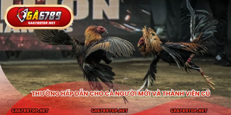 Thưởng hấp dẫn cho cả người mới và thành viên cũ