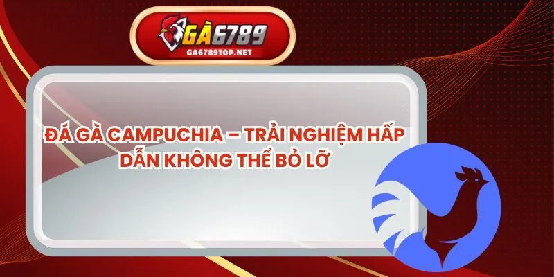 Đá Gà Campuchia – Trải Nghiệm Hấp Dẫn Không Thể Bỏ Lỡ