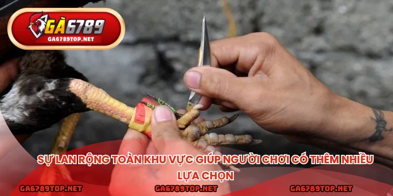Sự lan rộng toàn khu vực giúp người chơi có thêm nhiều lựa chọn