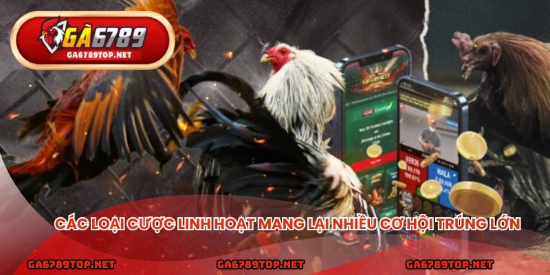 Các loại cược linh hoạt mang lại nhiều cơ hội trúng lớn