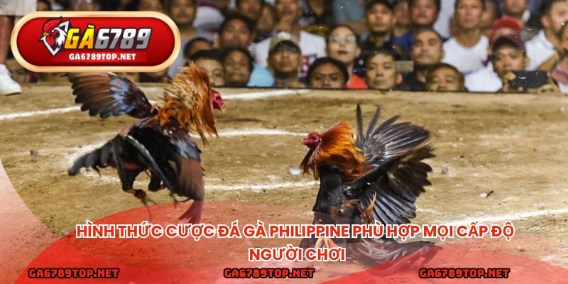 Hình thức cược đá gà philippine phù hợp mọi cấp độ người chơi