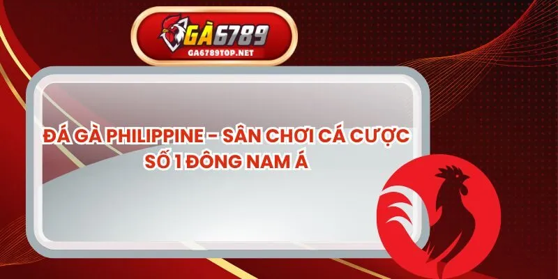 Đá Gà Philippine - Sân Chơi Cá Cược Số 1 Đông Nam Á