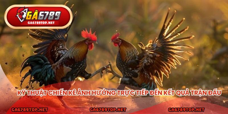 Kỹ thuật chiến kê ảnh hưởng trực tiếp đến kết quả trận đấu