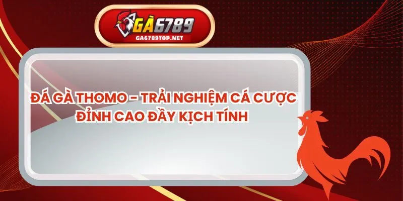 Đá Gà Thomo - Trải Nghiệm Cá Cược Đỉnh Cao Đầy Kịch Tính