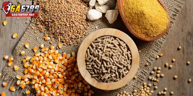 Nguyên Tắc Vàng Về Dinh Dưỡng Cho Gà Đá