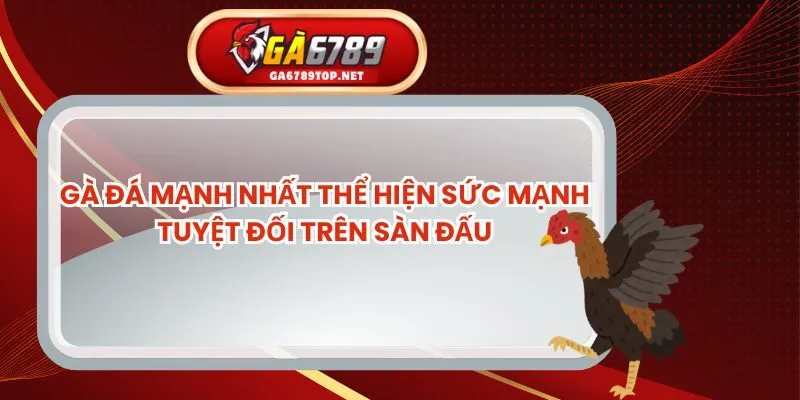 Gà Đá Mạnh Nhất Thể Hiện Sức Mạnh Tuyệt Đối Trên Sàn Đấu