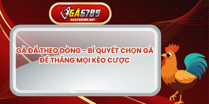 Gà Đá Theo Dòng - Bí Quyết Chọn Gà Để Thắng Mọi Kèo Cược
