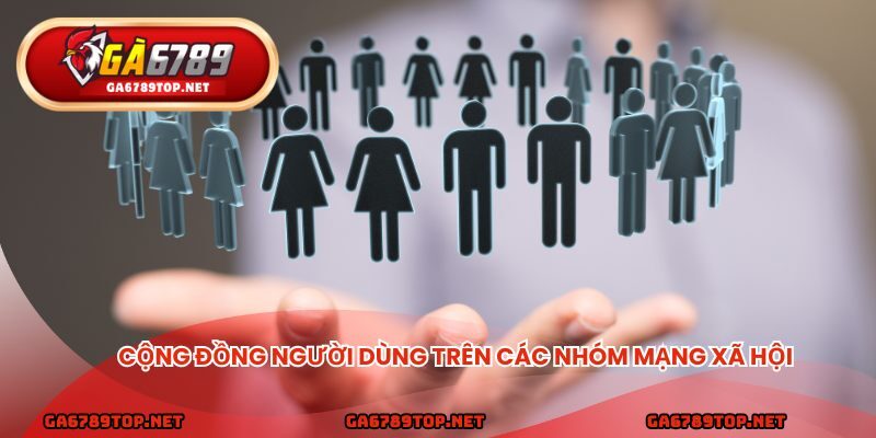 Cộng đồng người dùng trên các nhóm mạng xã hội
