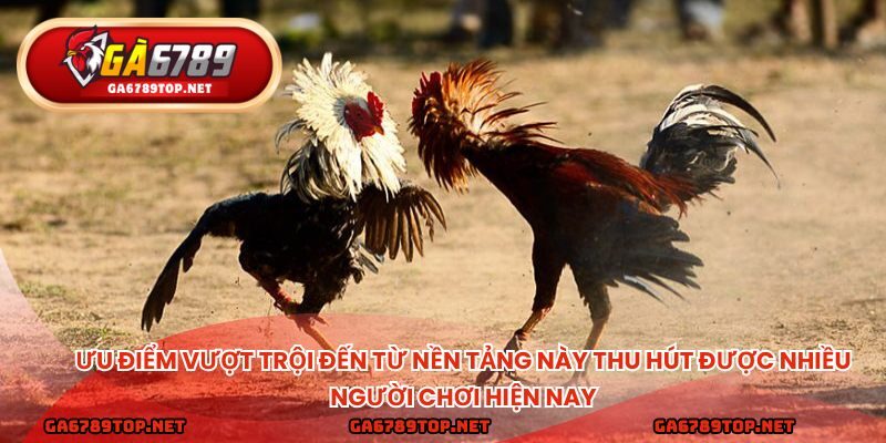 Ưu điểm vượt trội đến từ nền tảng này thu hút được nhiều người chơi hiện nay