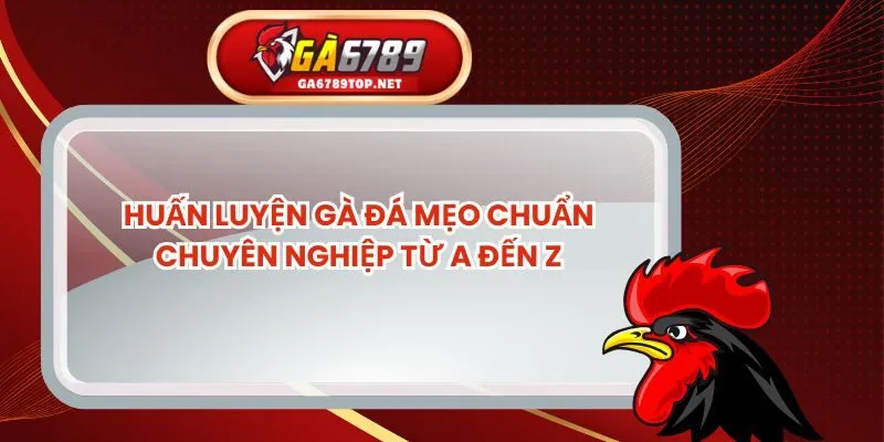 Huấn Luyện Gà Đá Mẹo Chuẩn Chuyên Nghiệp Từ A Đến Z