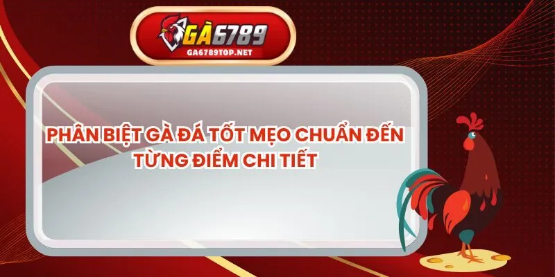 Phân Biệt Gà Đá Tốt Mẹo Chuẩn Đến Từng Điểm Chi Tiết
