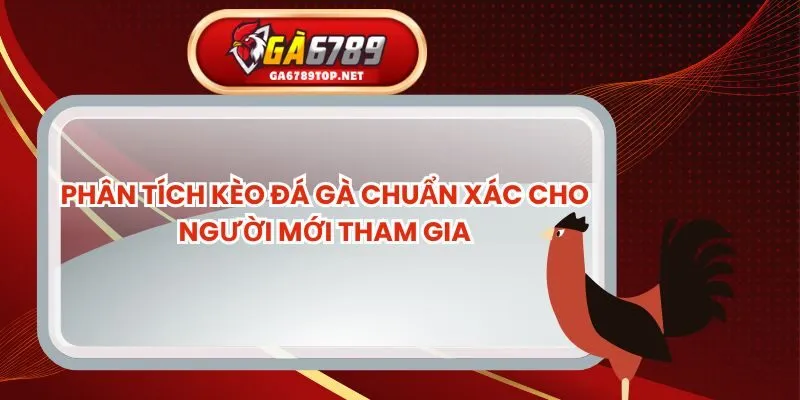 Phân Tích Kèo Đá Gà Chuẩn Xác Cho Người Mới Tham Gia