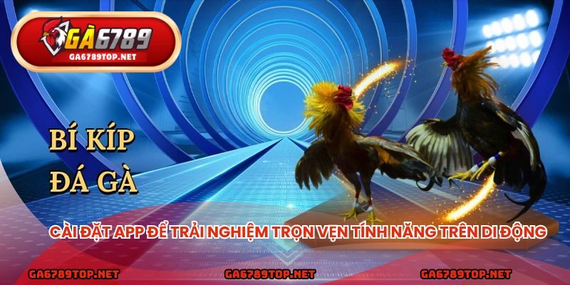 Cài đặt app để trải nghiệm trọn vẹn tính năng trên di động