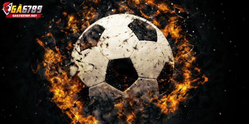 Ưu Đãi Độc Quyền Tại Sảnh Thể Thao Ga6789