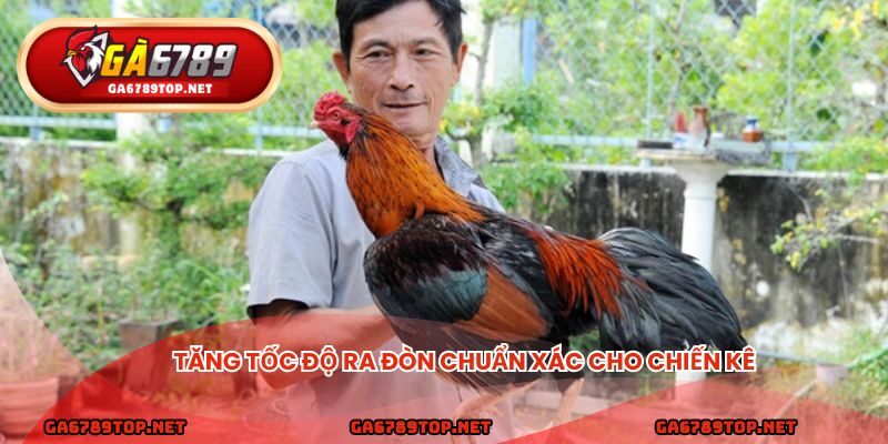 Tăng tốc độ ra đòn chuẩn xác cho chiến kê