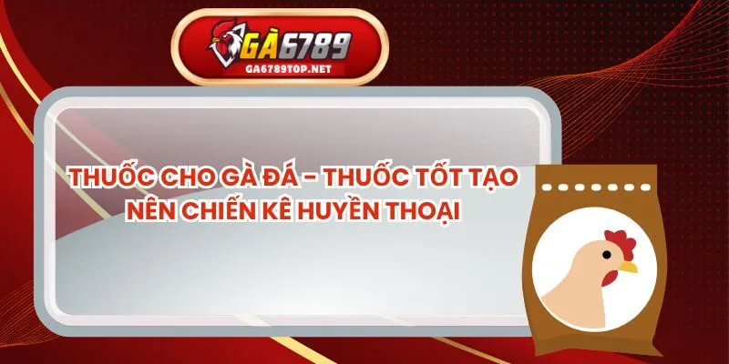 Thuốc Cho Gà Đá - Thuốc Tốt Tạo Nên Chiến Kê Huyền Thoại