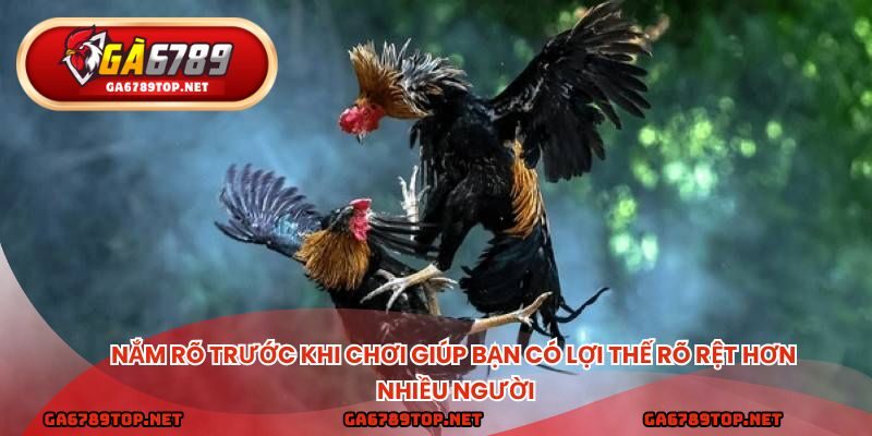 Nắm rõ trước khi chơi giúp bạn có lợi thế rõ rệt hơn nhiều người