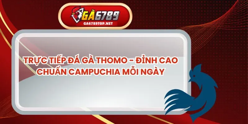 Trực Tiếp Đá Gà Thomo - Đỉnh Cao Chuẩn Campuchia Mỗi Ngày