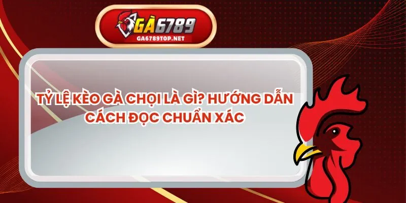 Tỷ Lệ Kèo Gà Chọi Là Gì? Hướng Dẫn Cách Đọc Chuẩn Xác